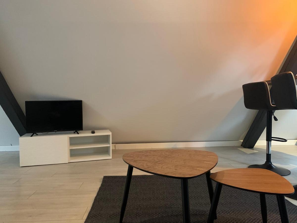Cocoon Loft Apartment Colmar Bagian luar foto