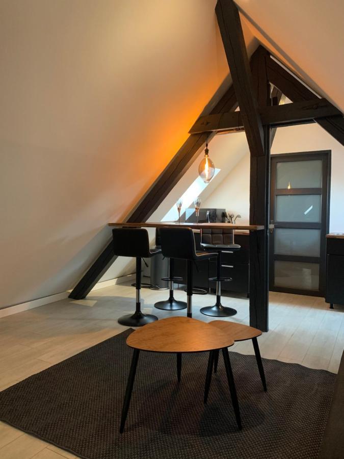 Cocoon Loft Apartment Colmar Bagian luar foto