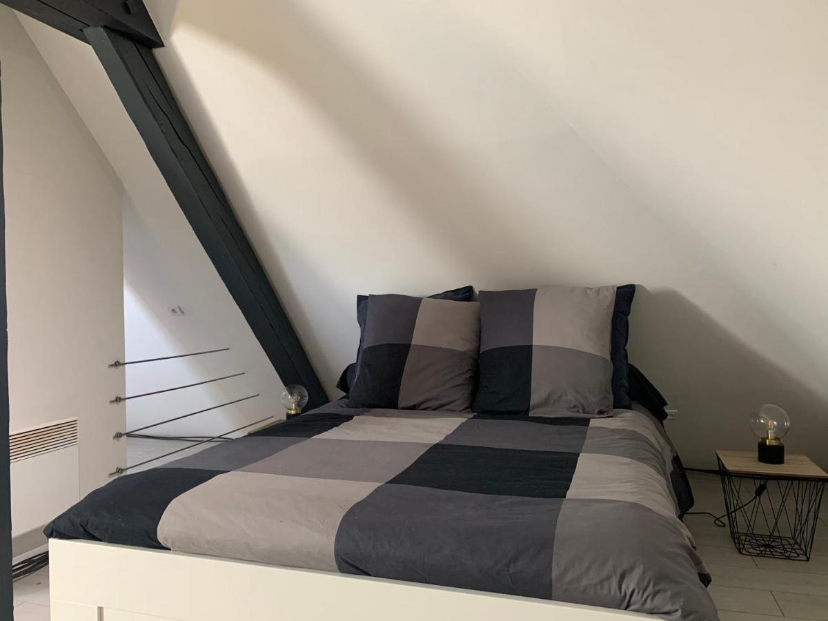 Cocoon Loft Apartment Colmar Bagian luar foto