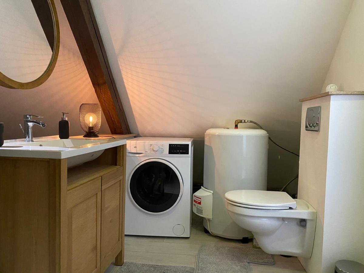 Cocoon Loft Apartment Colmar Bagian luar foto